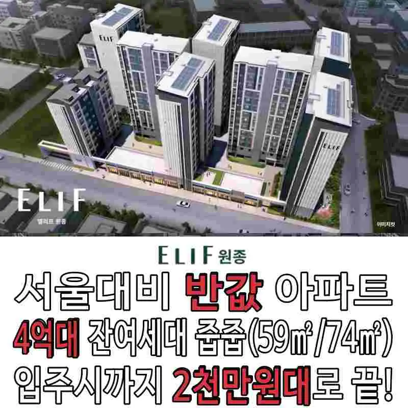 엘리프원종 상세 이미지