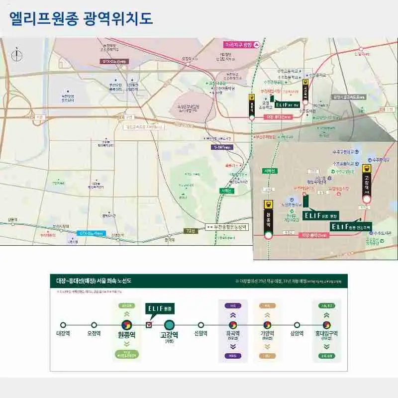 엘리프원종 상세 이미지