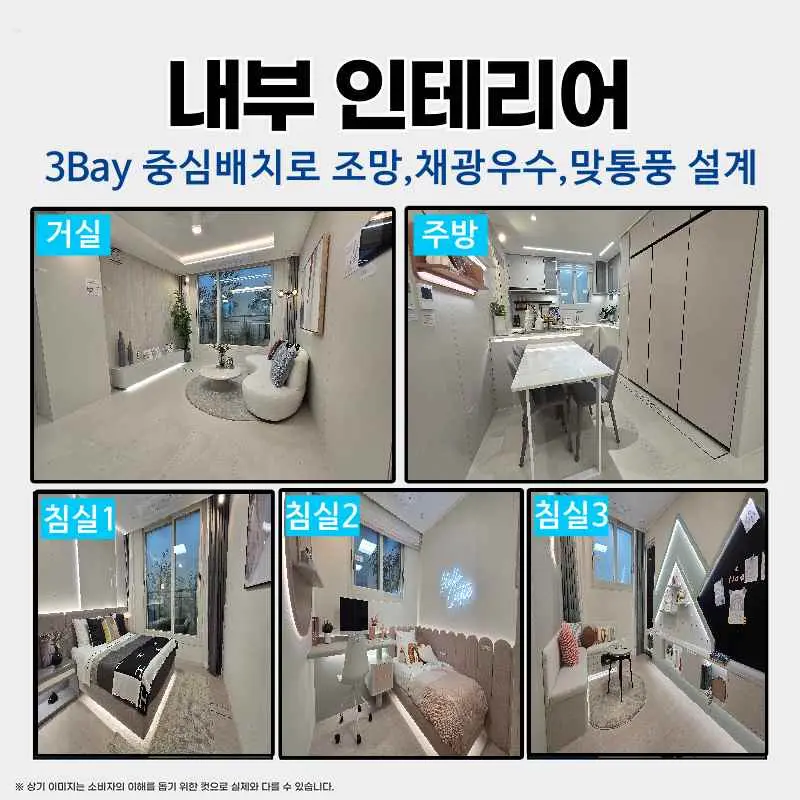 엘리프원종 상세 이미지